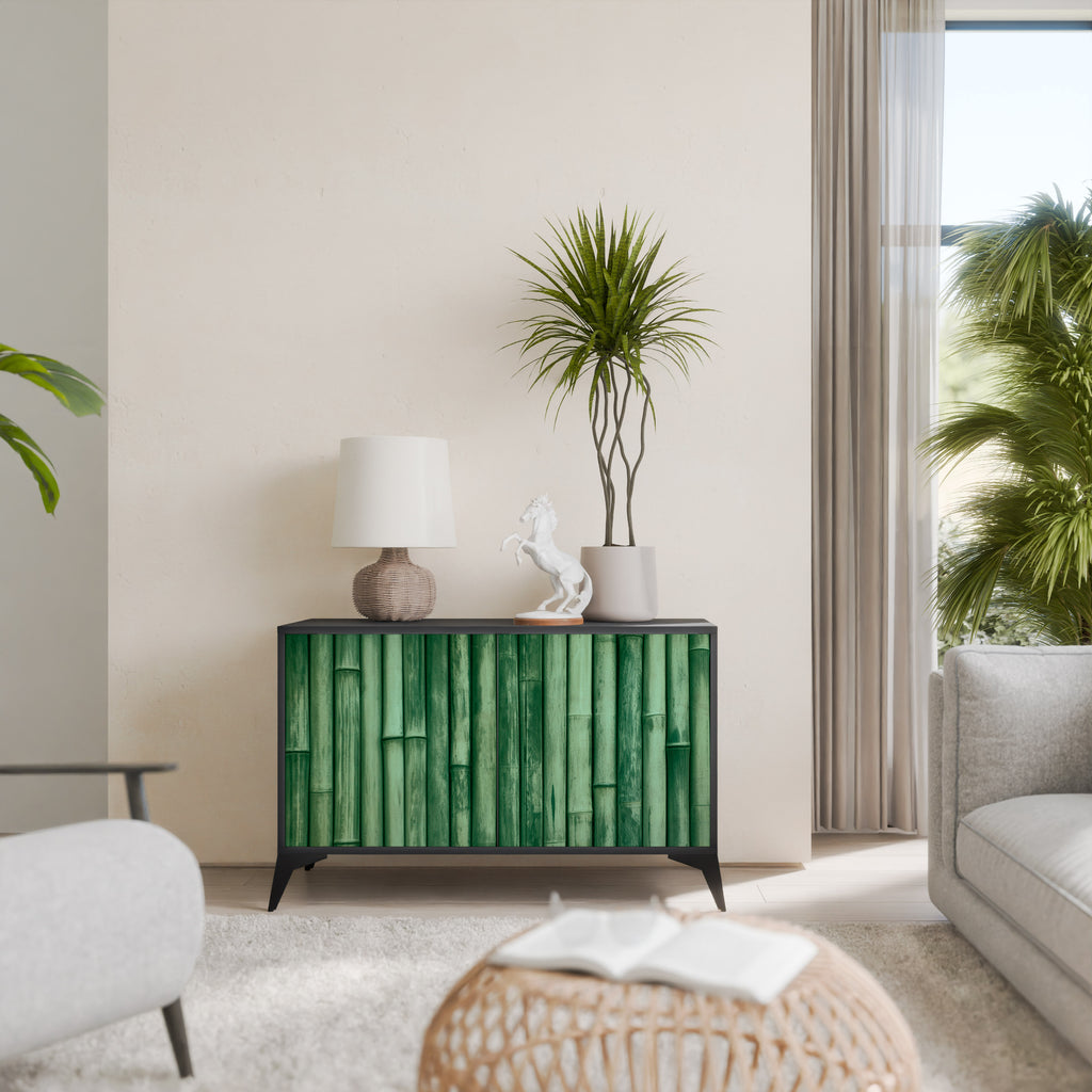 NATURAL GREEN 2-Door Sideboard in Black Finish