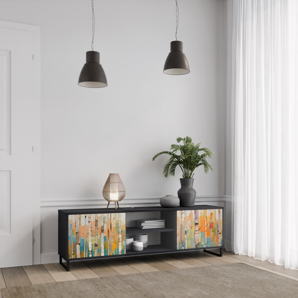Mueble de TV de dos puertas BIRCH KALEIDOSCOPE con acabado negro