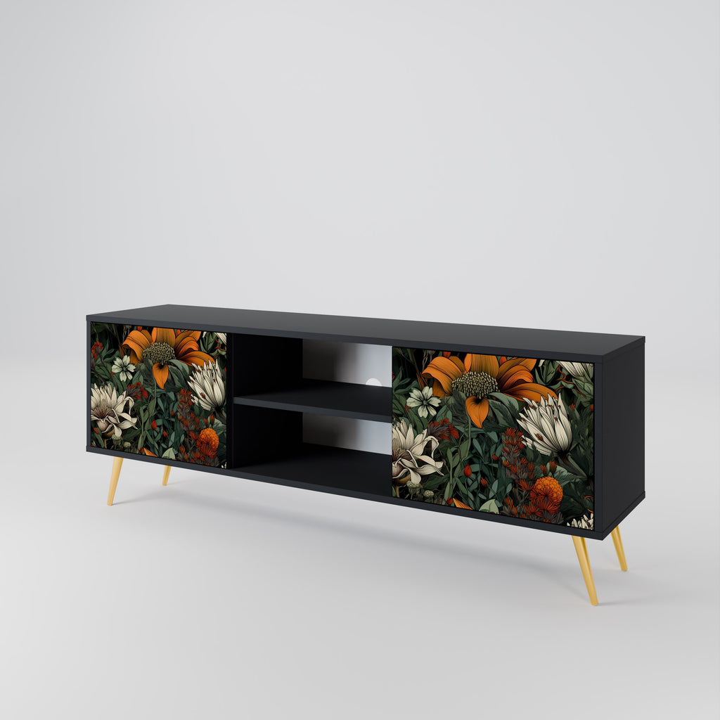Mueble de TV de 2 puertas MIDNIGHT SPROUT con acabado negro