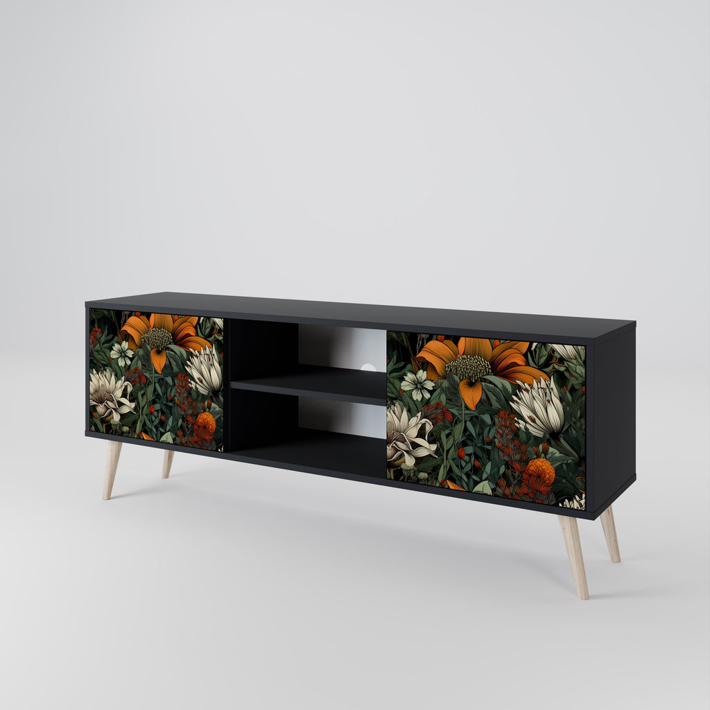 Mueble de TV de 2 puertas MIDNIGHT SPROUT con acabado negro