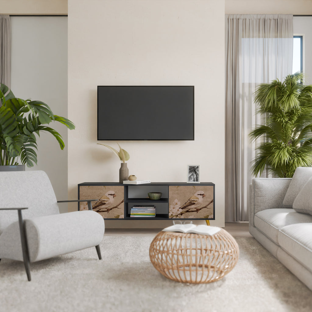 Mueble de TV de 2 puertas PETAL DISTINGUISH en acabado negro