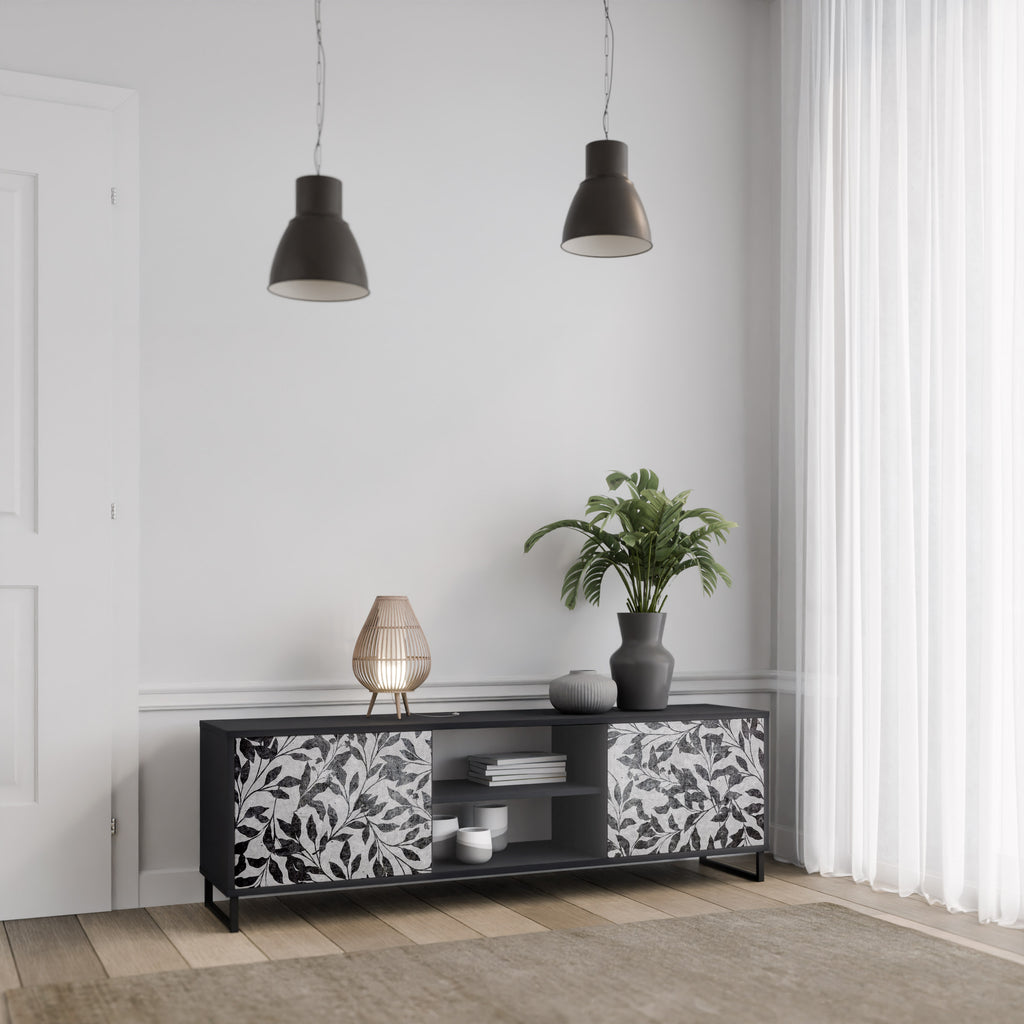 Mueble de TV de 2 puertas CHARCOAL SPROUT con acabado negro