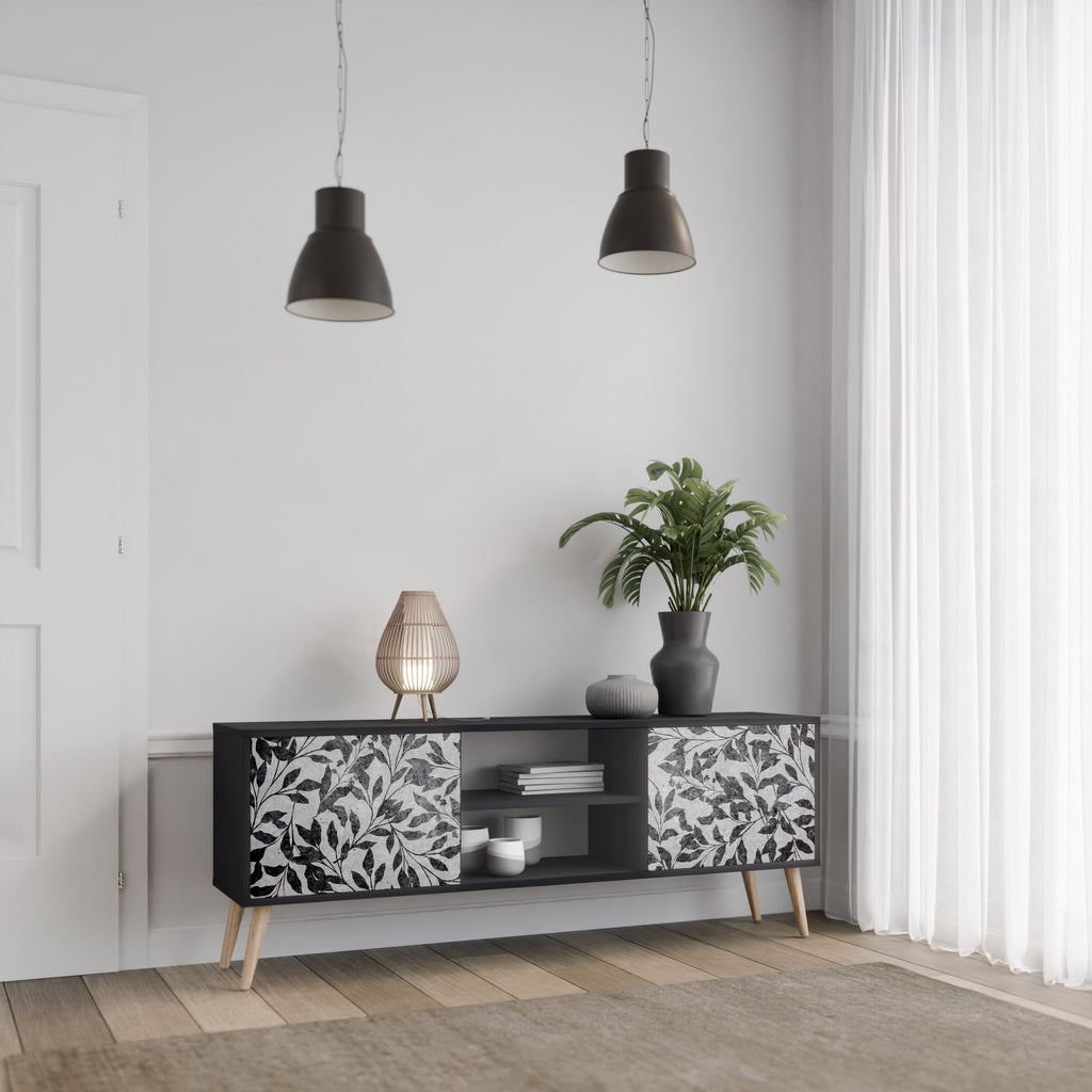 Mueble de TV de 2 puertas CHARCOAL SPROUT con acabado negro