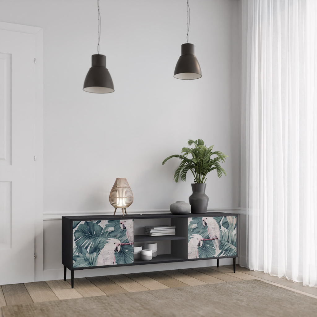 Mueble de TV POPINJAY LOOK de 2 puertas con acabado negro