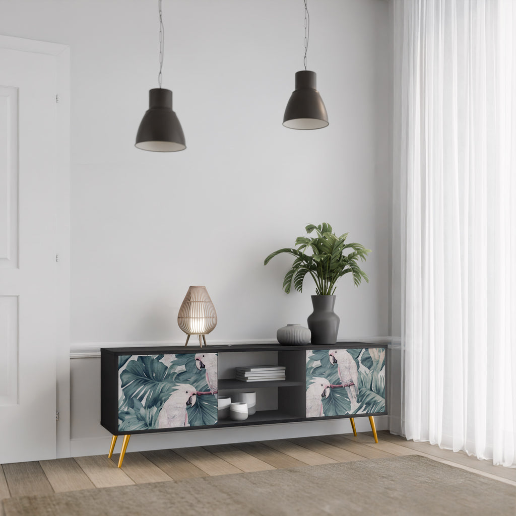 Mueble de TV POPINJAY LOOK de 2 puertas con acabado negro