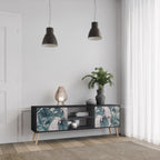 POPINJAY LOOK 2-Door TV Stand in Black Finish