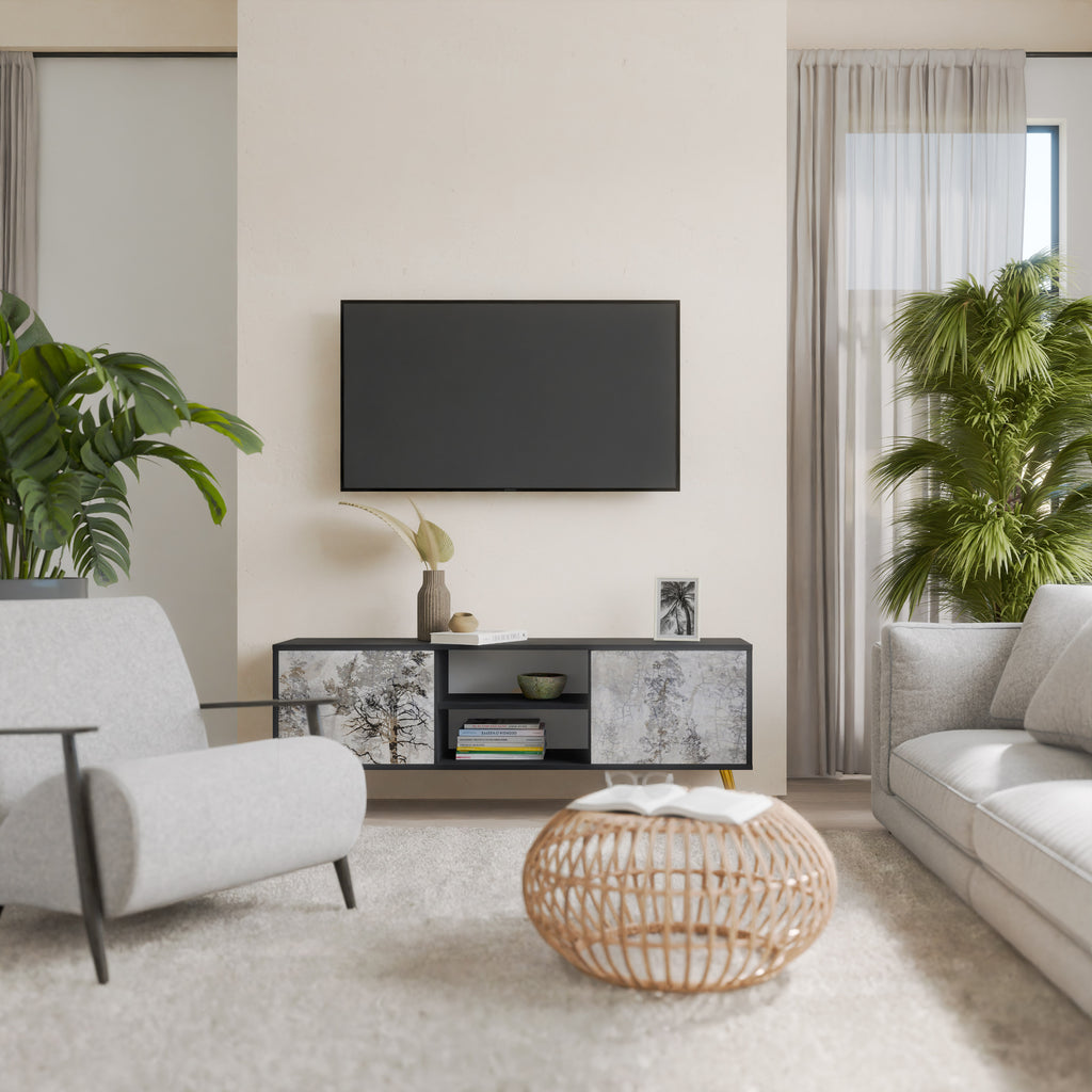 Mueble de TV de 2 puertas FADE IN THE TREES con acabado negro