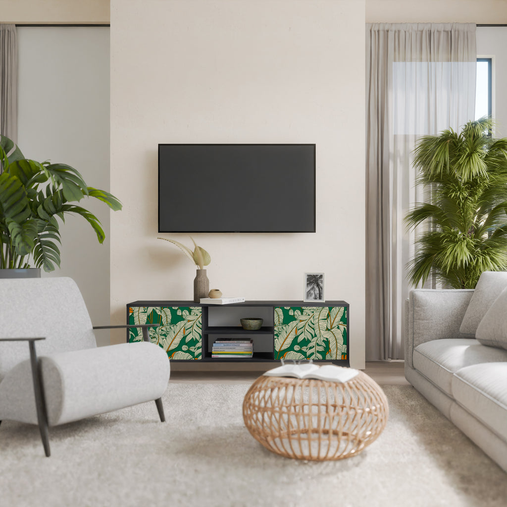 Mueble de TV de 2 puertas VERDANT PLEASURES con acabado negro