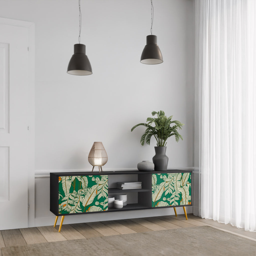 Mueble de TV de 2 puertas VERDANT PLEASURES con acabado negro