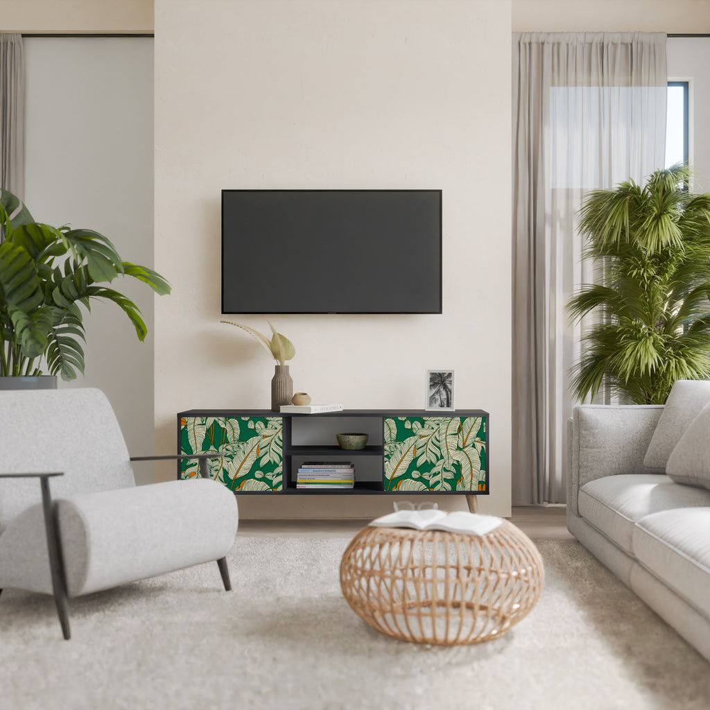 Mueble de TV de 2 puertas VERDANT PLEASURES con acabado negro