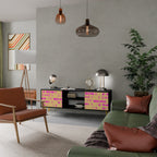 SKATEBOARD ARTISTRY 2-Door TV Stand in Black Finish