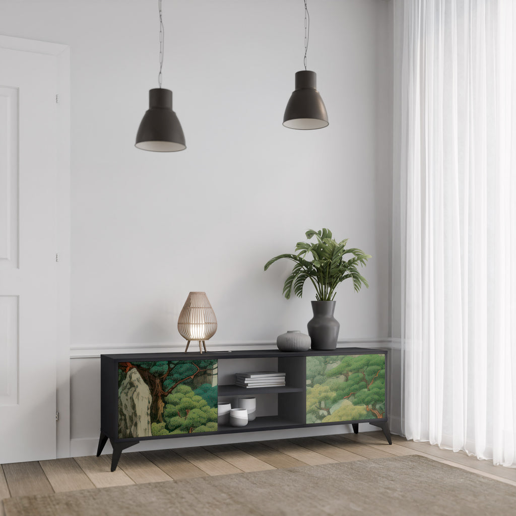 Mueble de TV de 2 puertas VERDURE ABYSS con acabado negro