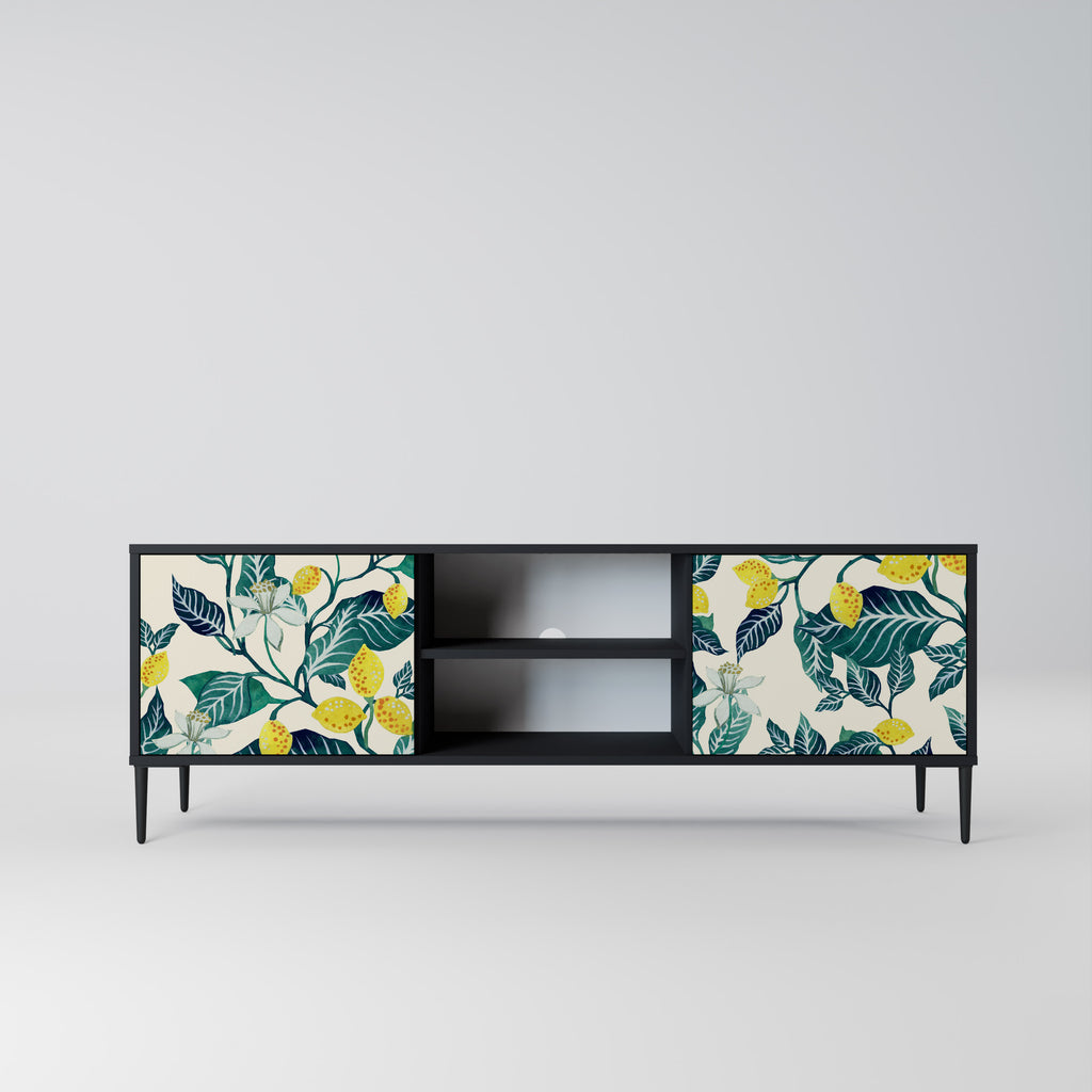 Mueble de TV de 2 puertas LEMON TREE con acabado negro