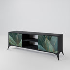 ROYAL GREEN 2-Door TV Stand in Black Finish