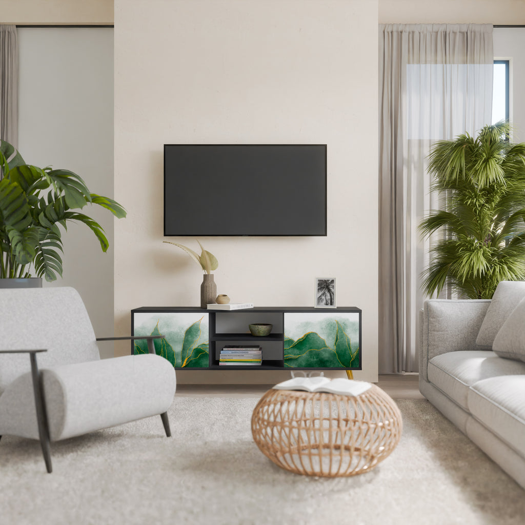 EXPENSIVE NATURE Mueble de TV de 2 puertas con acabado negro