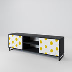 RADIANT REVERIE 2-Door TV Stand in Black Finish
