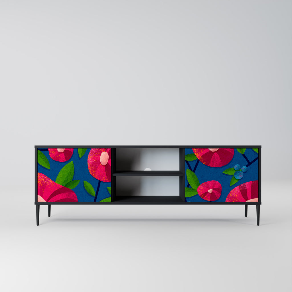 Mueble de TV de 2 puertas SPRING THOUGHTS con acabado negro
