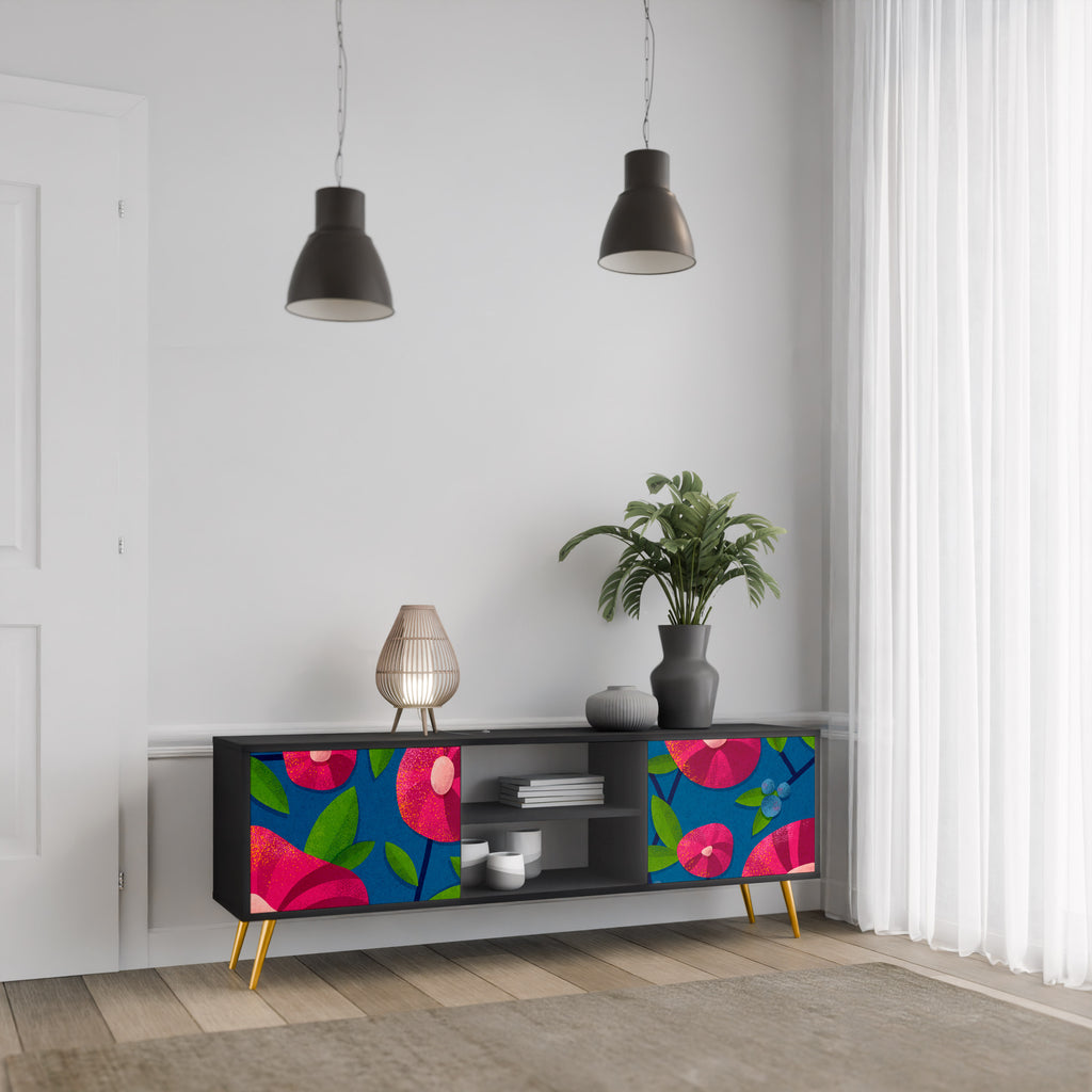 Mueble de TV de 2 puertas SPRING THOUGHTS con acabado negro