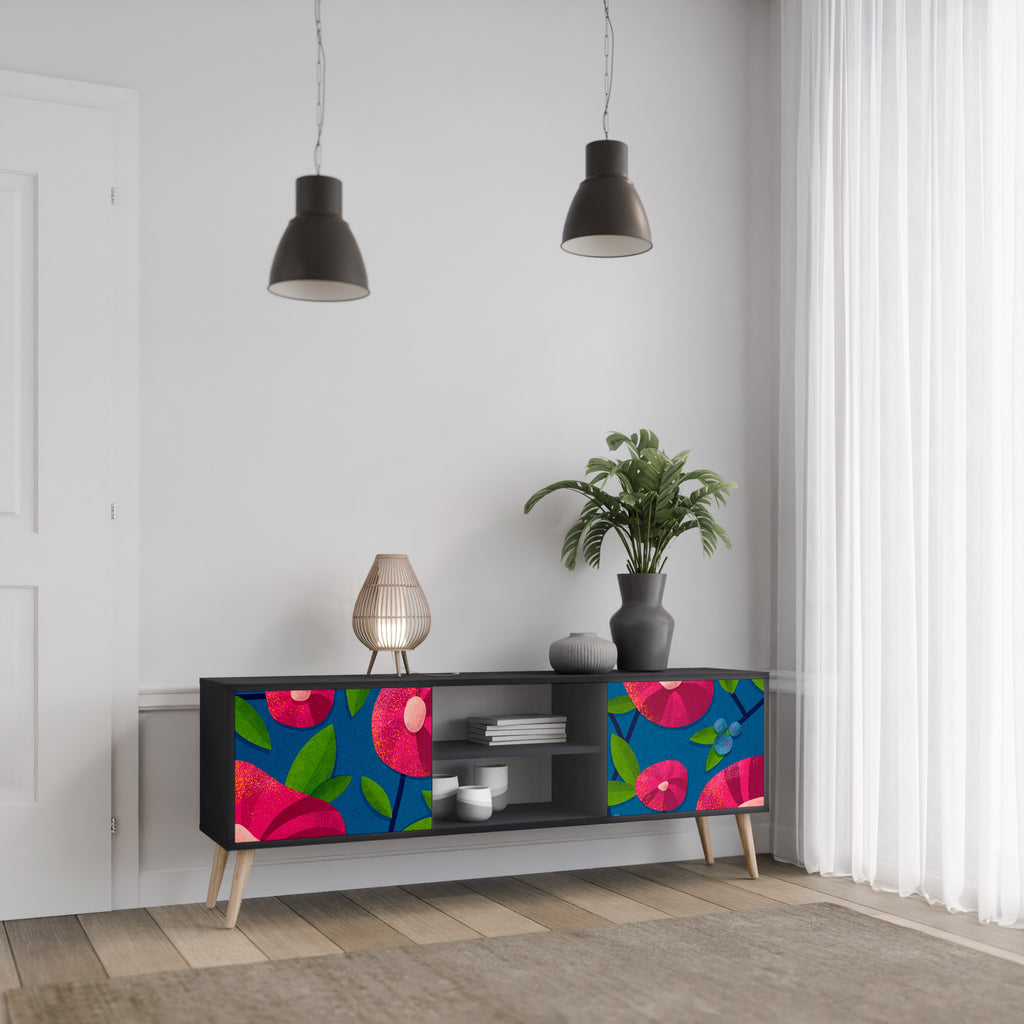 Mueble de TV de 2 puertas SPRING THOUGHTS con acabado negro