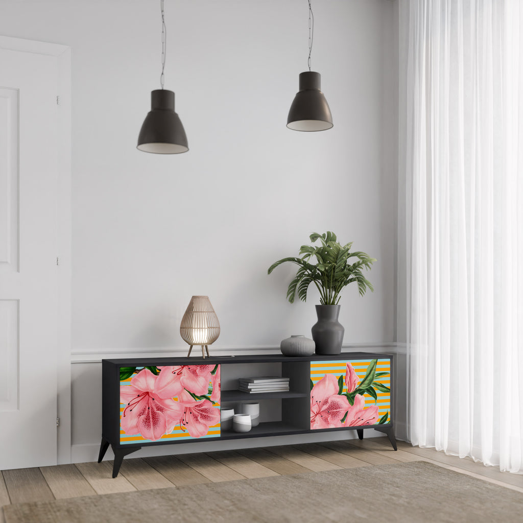 Mueble de TV de 2 puertas FRAGILE BEAUTY con acabado negro