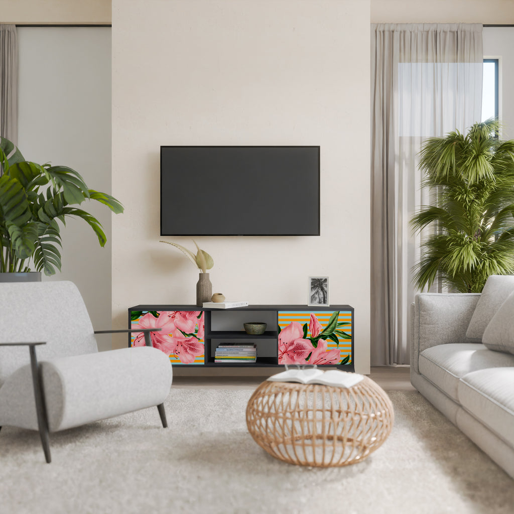 Mueble de TV de 2 puertas FRAGILE BEAUTY con acabado negro