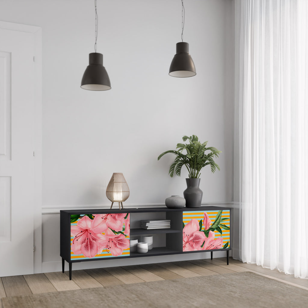 Mueble de TV de 2 puertas FRAGILE BEAUTY con acabado negro