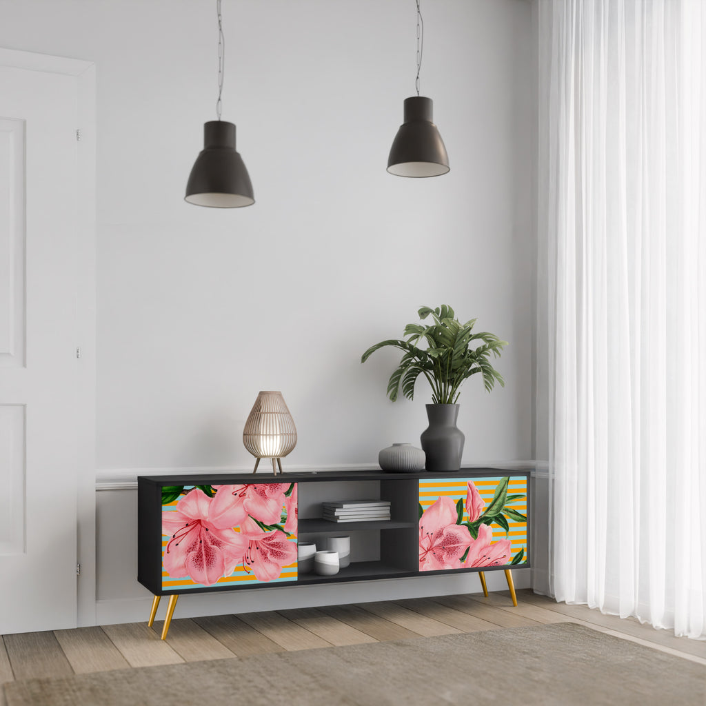 Mueble de TV de 2 puertas FRAGILE BEAUTY con acabado negro