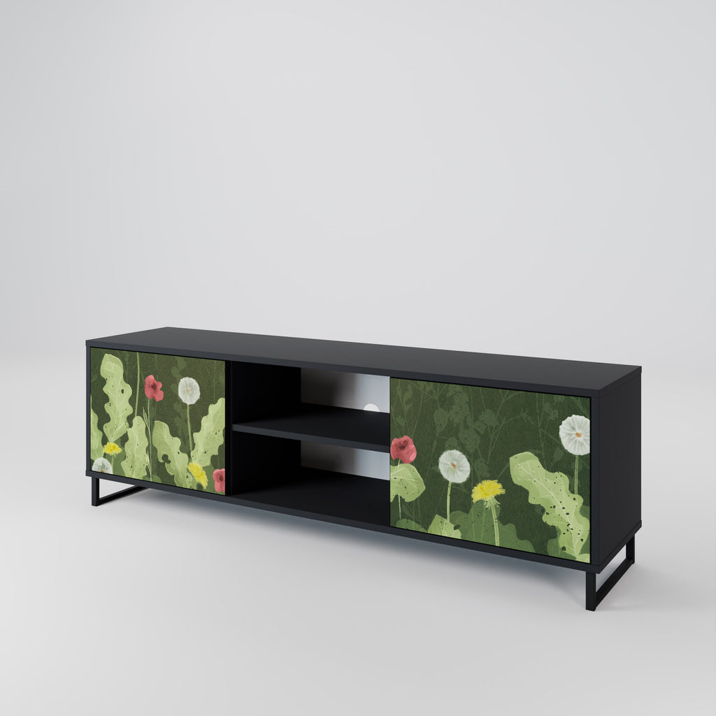 Mueble de TV DANDELION AMUSE de 2 puertas con acabado negro