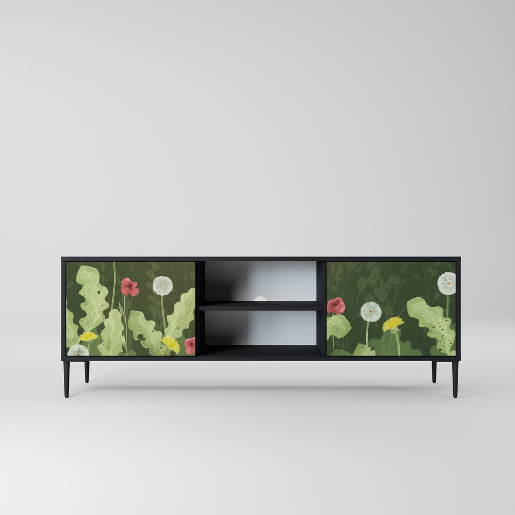 Mueble de TV DANDELION AMUSE de 2 puertas con acabado negro