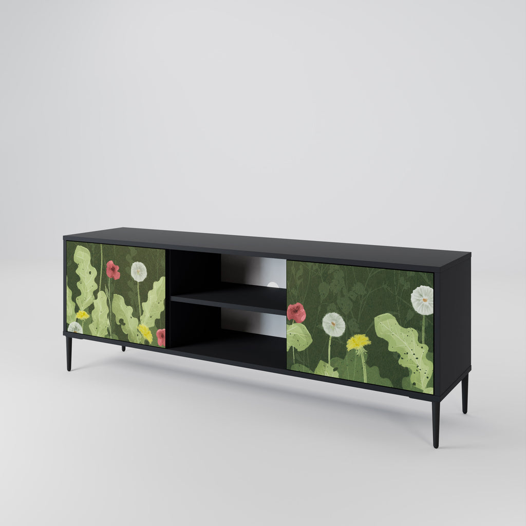 Mueble de TV DANDELION AMUSE de 2 puertas con acabado negro