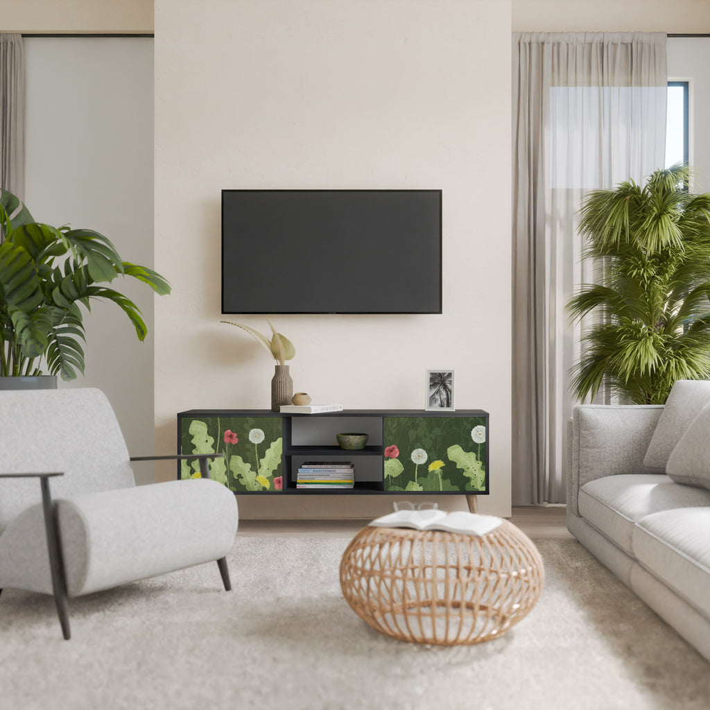 Mueble de TV DANDELION AMUSE de 2 puertas con acabado negro