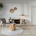 DELICATE MEMENTO 2-Door TV Cabinet