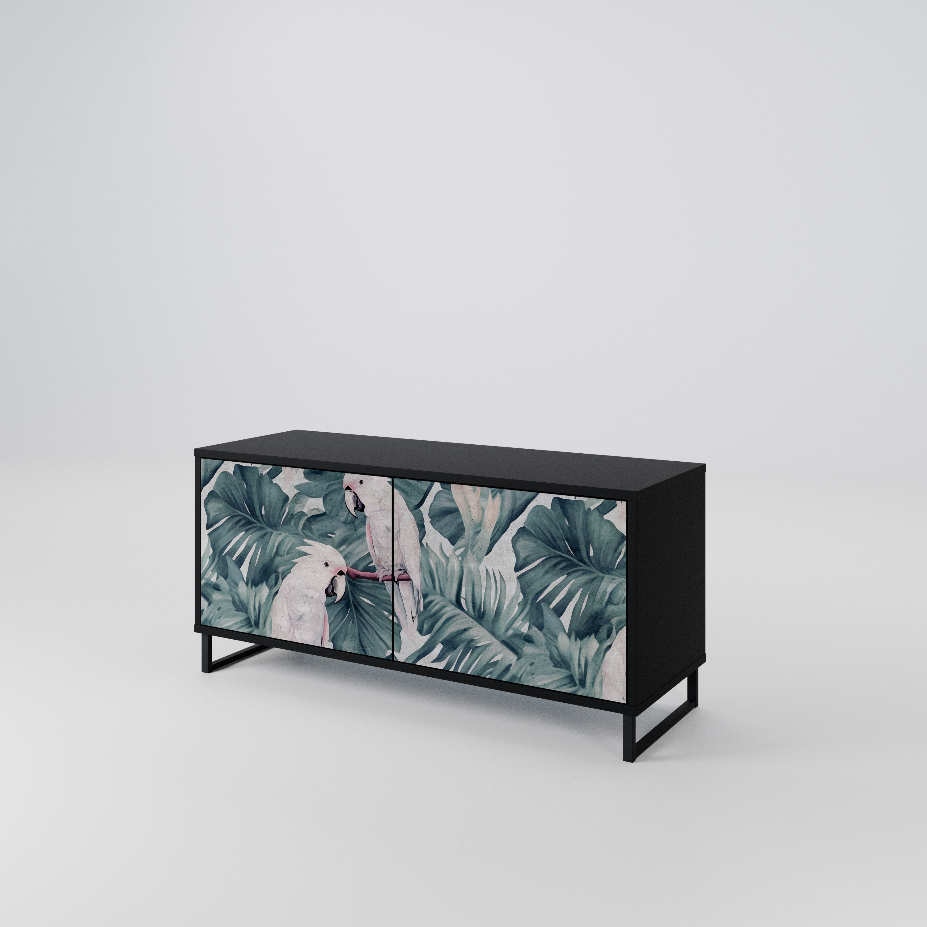 POPINJAY LOOK Mueble de TV Compacto de 2 puertas