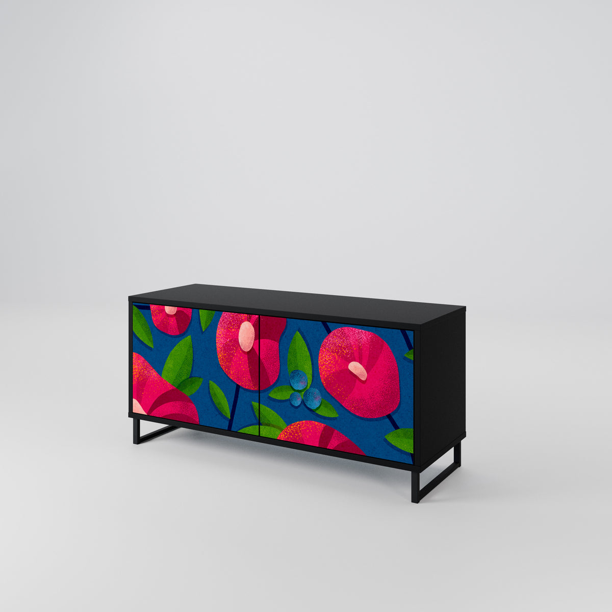 SPRING THOUGHTS Mueble de TV Compacto de 2 puertas