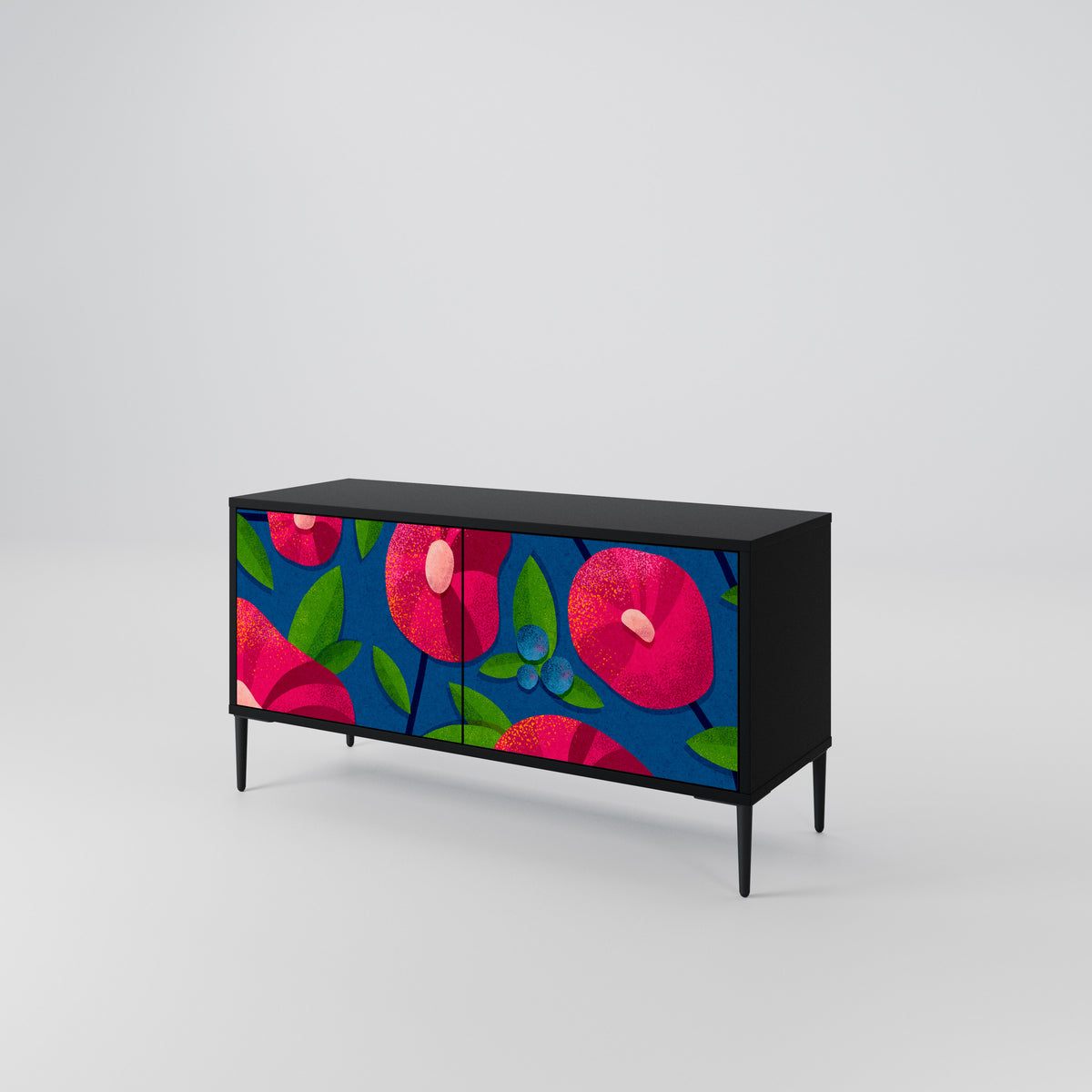 SPRING THOUGHTS Mueble de TV Compacto de 2 puertas