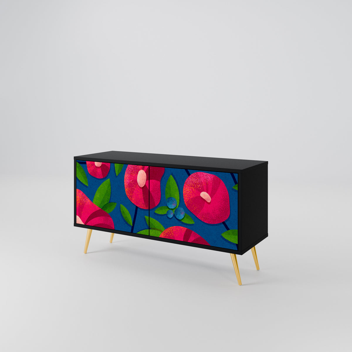 SPRING THOUGHTS Mueble de TV Compacto de 2 puertas