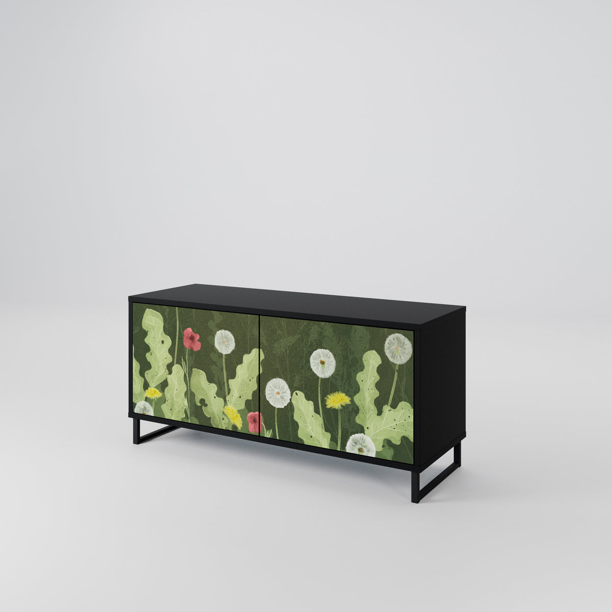 DANDELION AMUSE Mueble de TV Compacto de 2 puertas
