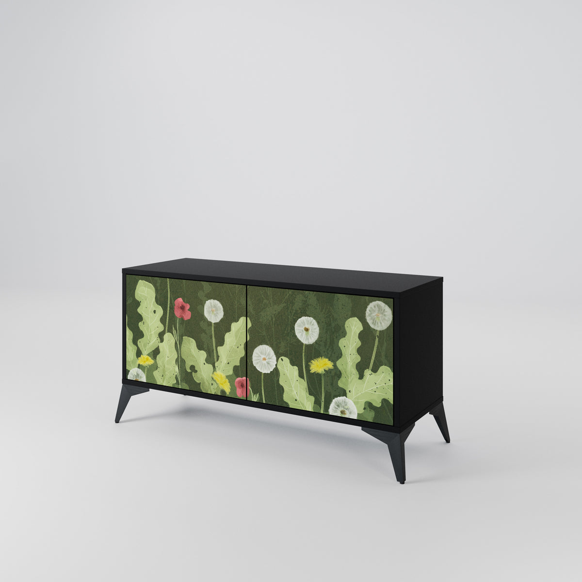 DANDELION AMUSE Mueble de TV Compacto de 2 puertas