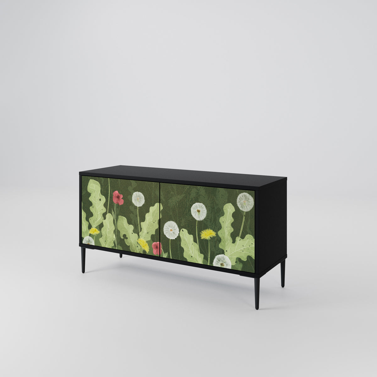 DANDELION AMUSE Mueble de TV Compacto de 2 puertas