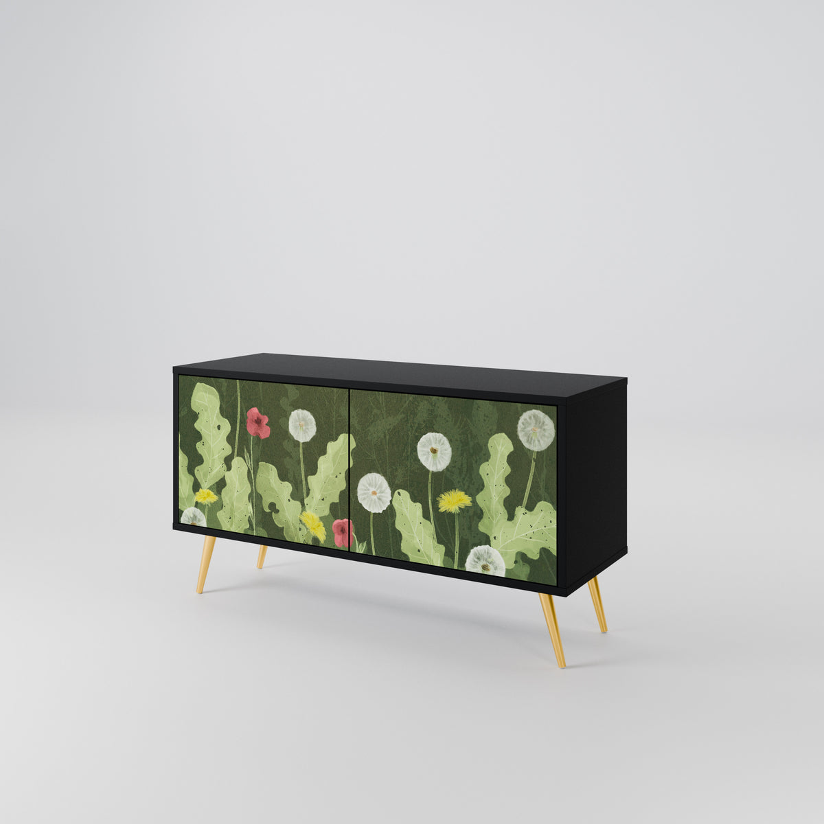 DANDELION AMUSE Mueble de TV Compacto de 2 puertas