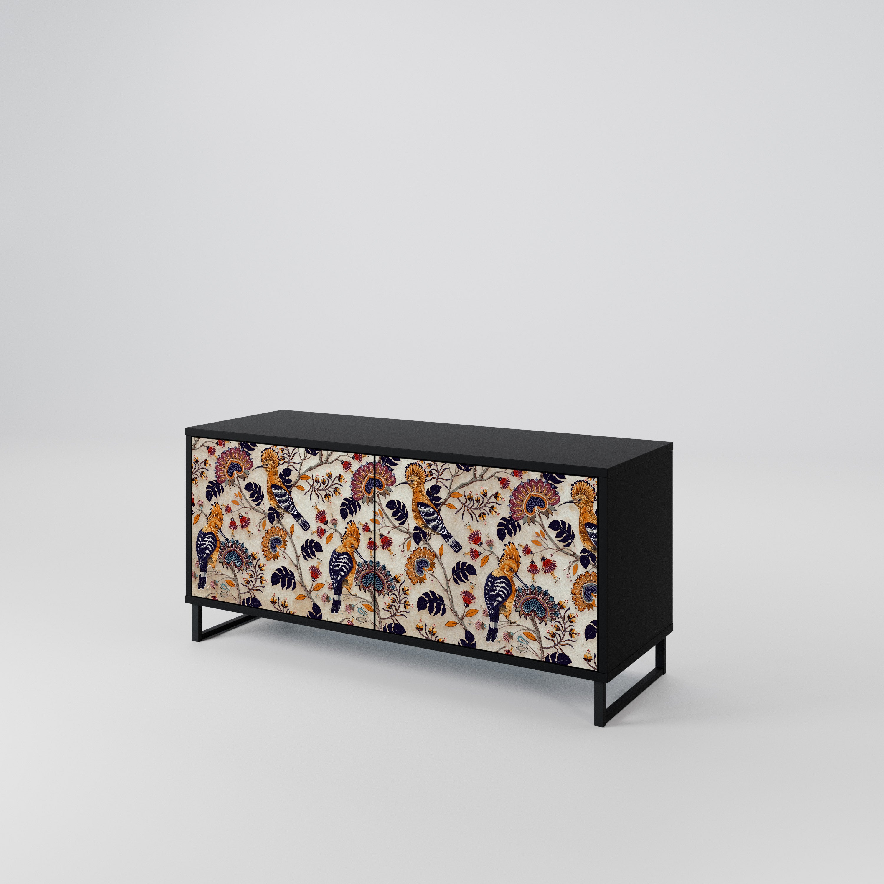 EMINENT HOOPOE Mueble de TV Compacto de 2 puertas