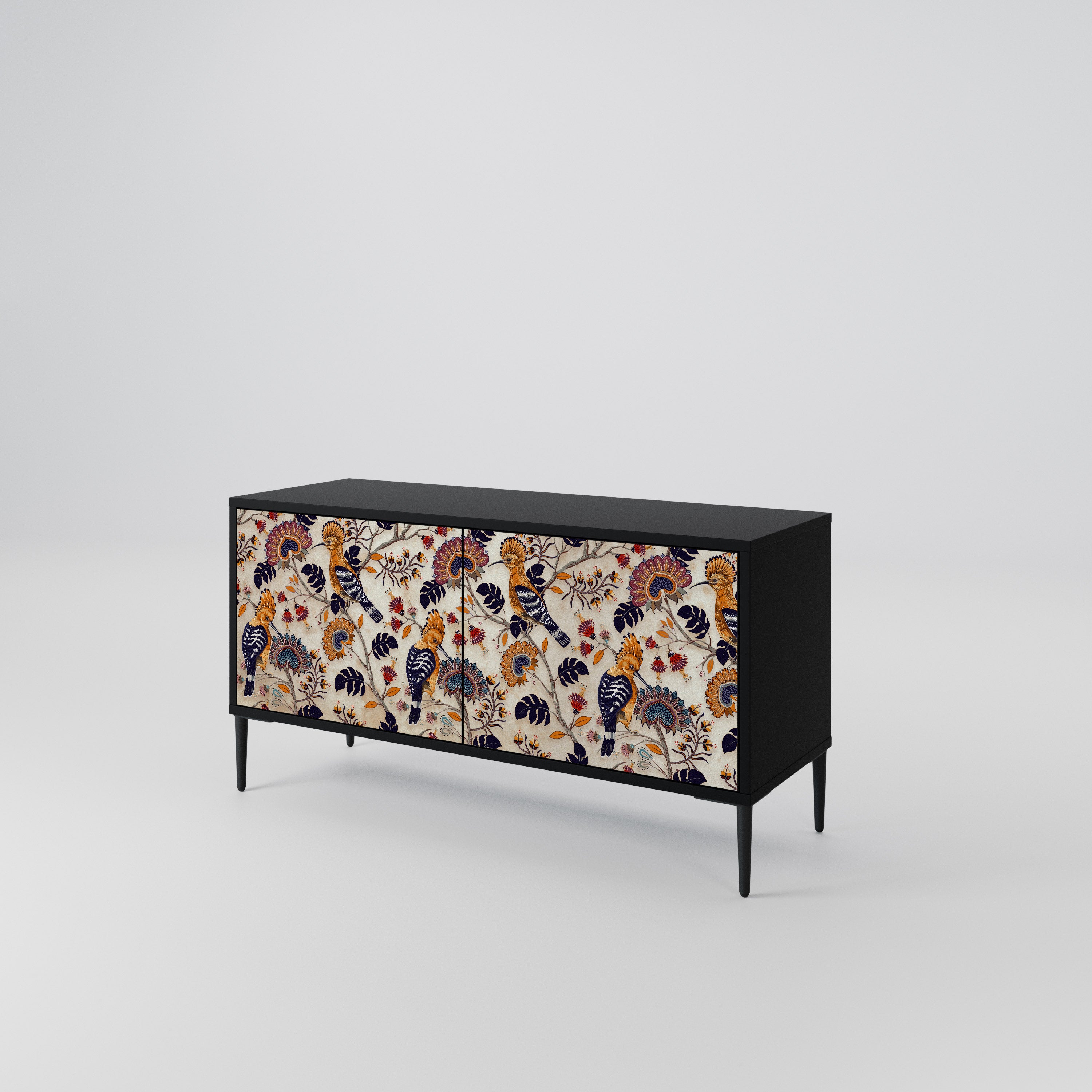 EMINENT HOOPOE Mueble de TV Compacto de 2 puertas