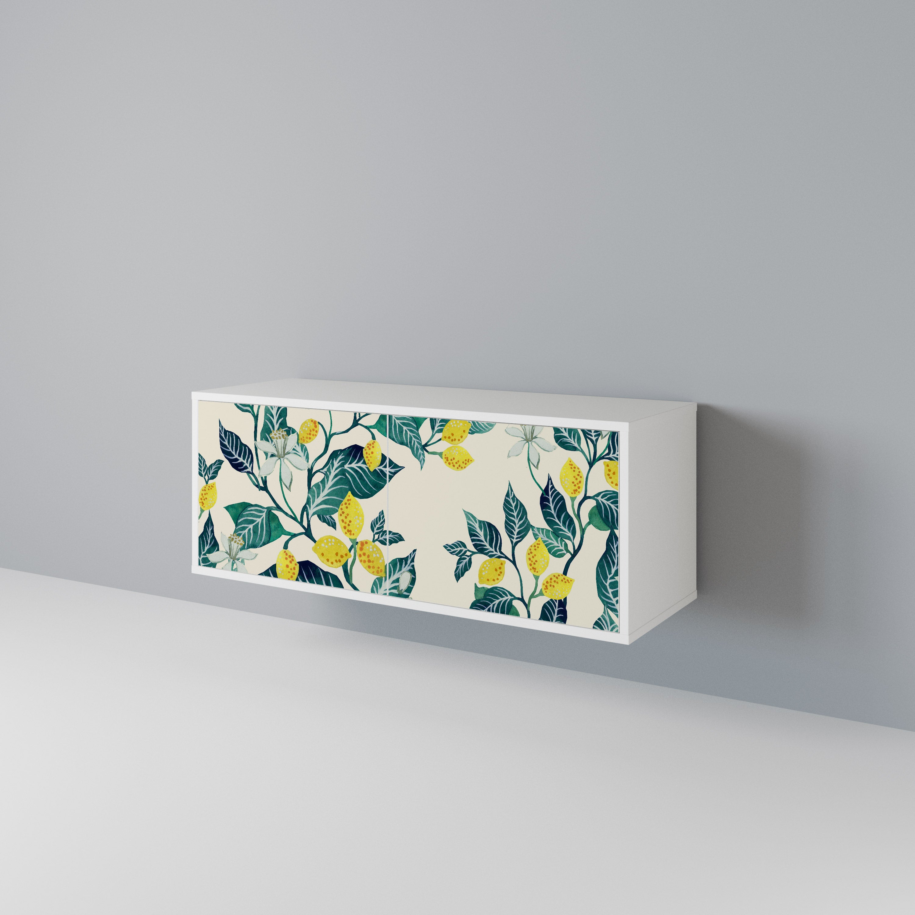 LEMON TREE Mueble de TV Compacto de 2 puertas