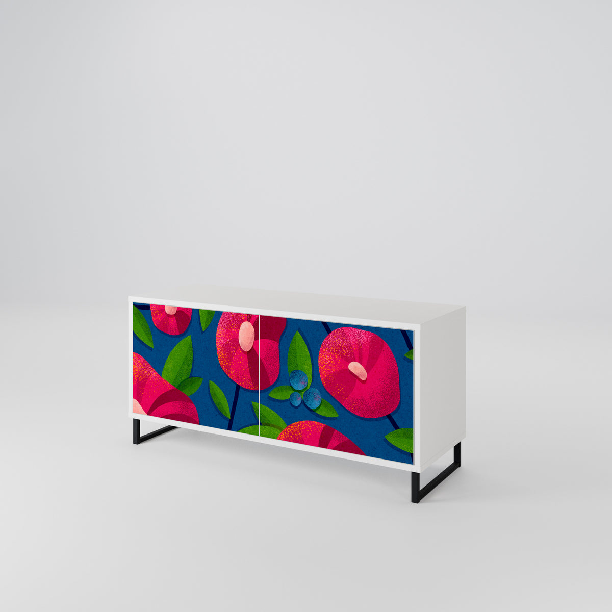 SPRING THOUGHTS Mueble de TV Compacto de 2 puertas