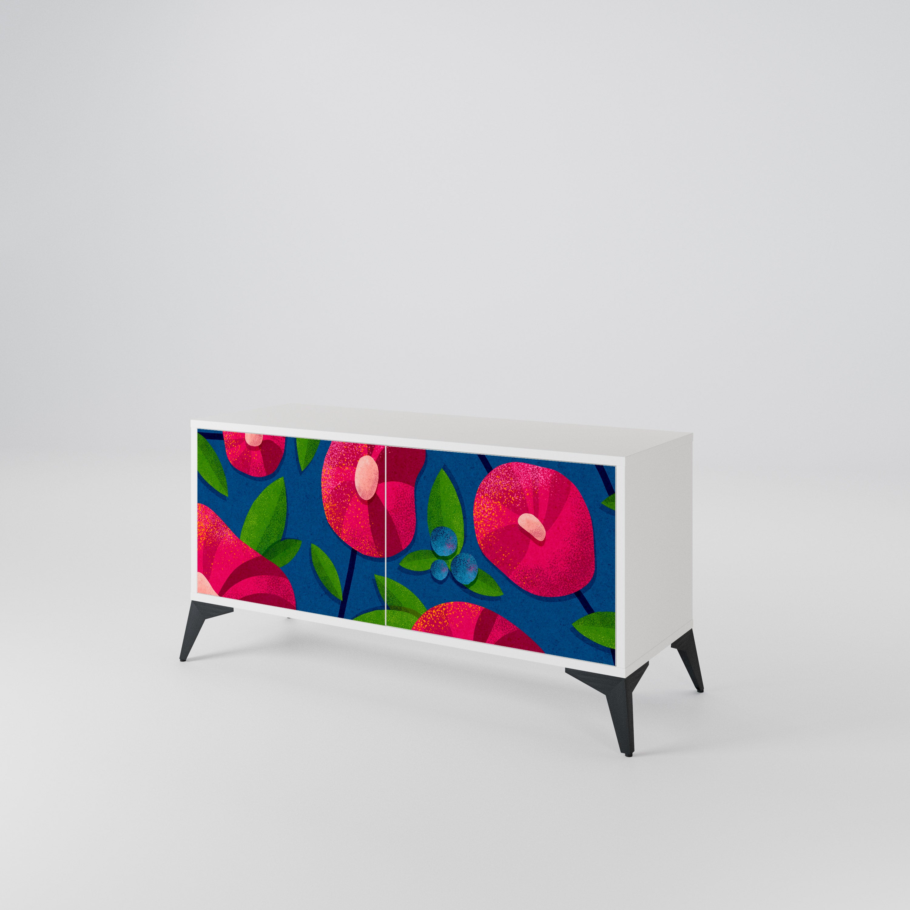 SPRING THOUGHTS Mueble de TV Compacto de 2 puertas