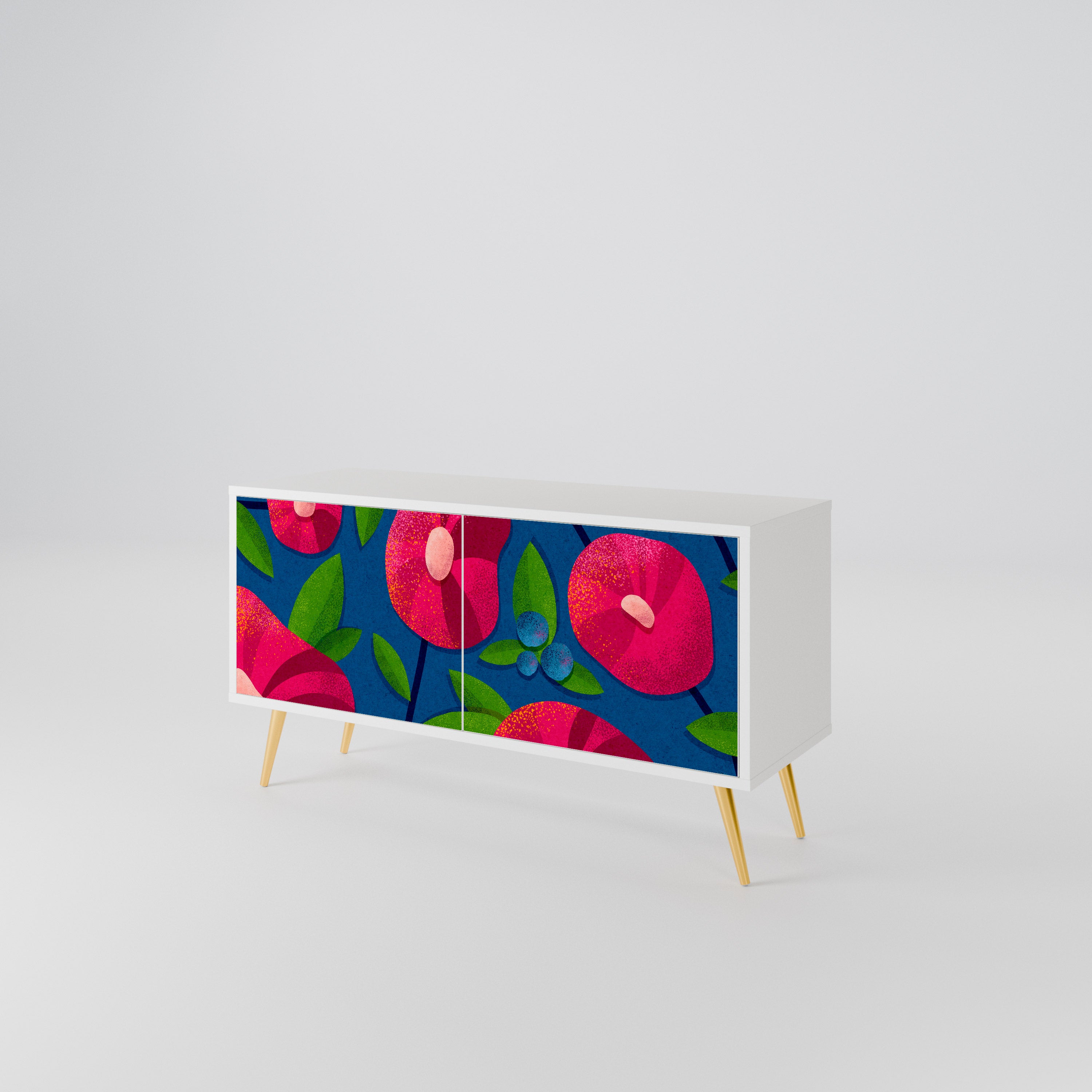 SPRING THOUGHTS Mueble de TV Compacto de 2 puertas