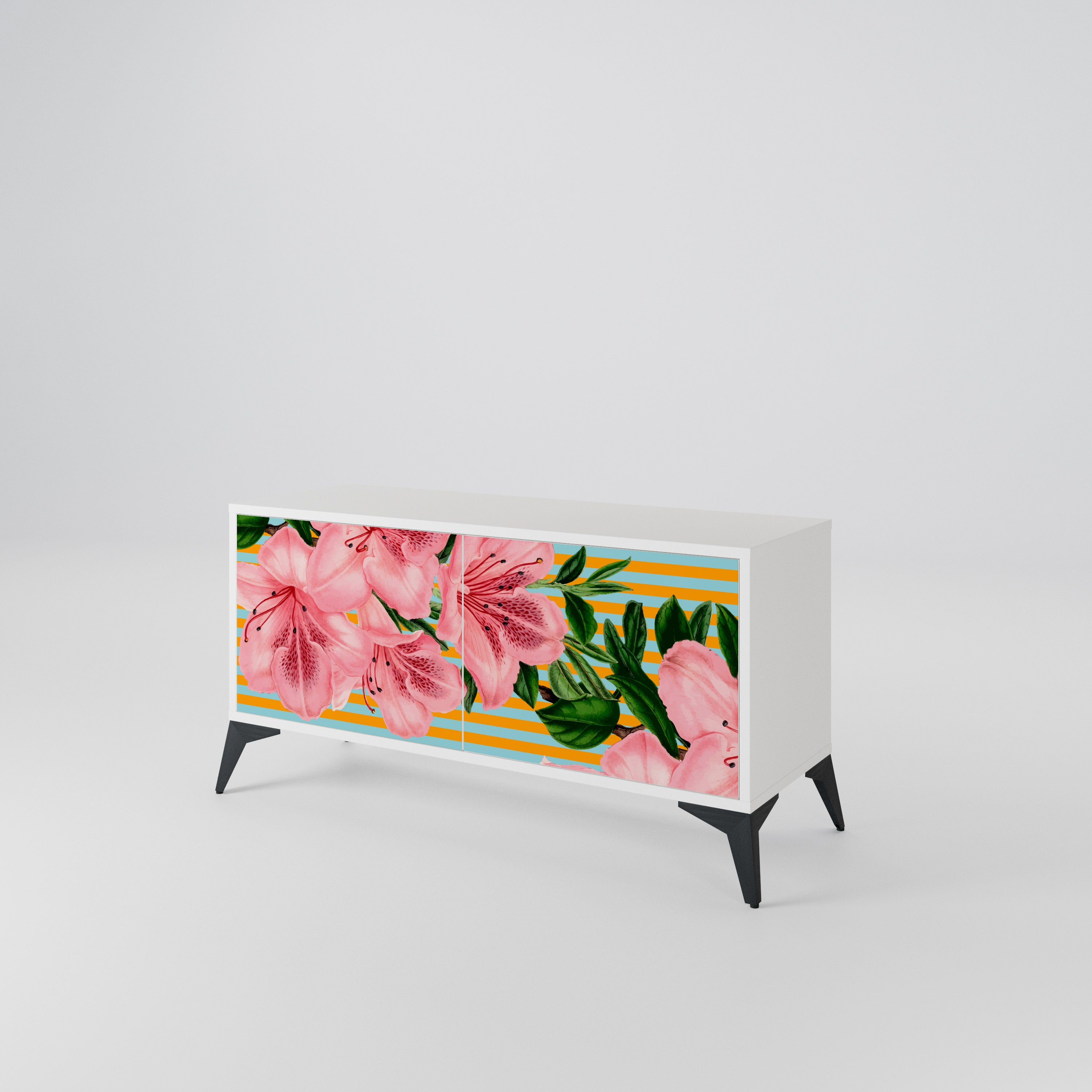 FRAGILE BEAUTY Mueble de TV Compacto de 2 puertas