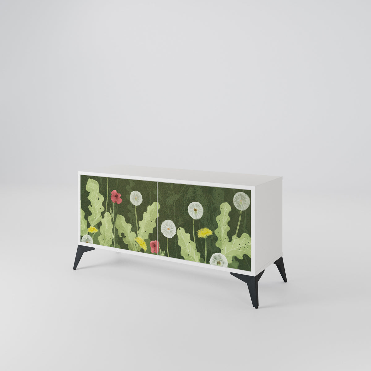 DANDELION AMUSE Mueble de TV Compacto de 2 puertas