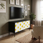 RADIANT REVERIE Mueble de TV Compacto de 2 puertas