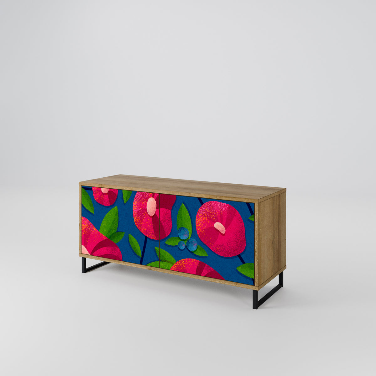 SPRING THOUGHTS Mueble de TV Compacto de 2 puertas